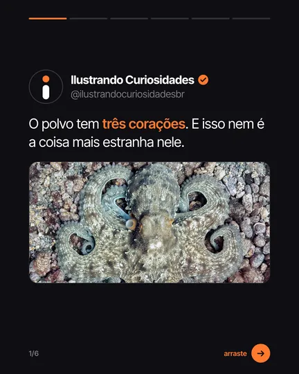 Carrossel gerado pela skill de carrossel do estúdio. Slide 1 do carrossel "O polvo tem três corações", tipo post de rede social: o post da própria página com nome, @, selo e foto de um polvo. Fundo escuro, 1080x1350 no original.